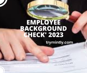 Mintly| Employee Background Check