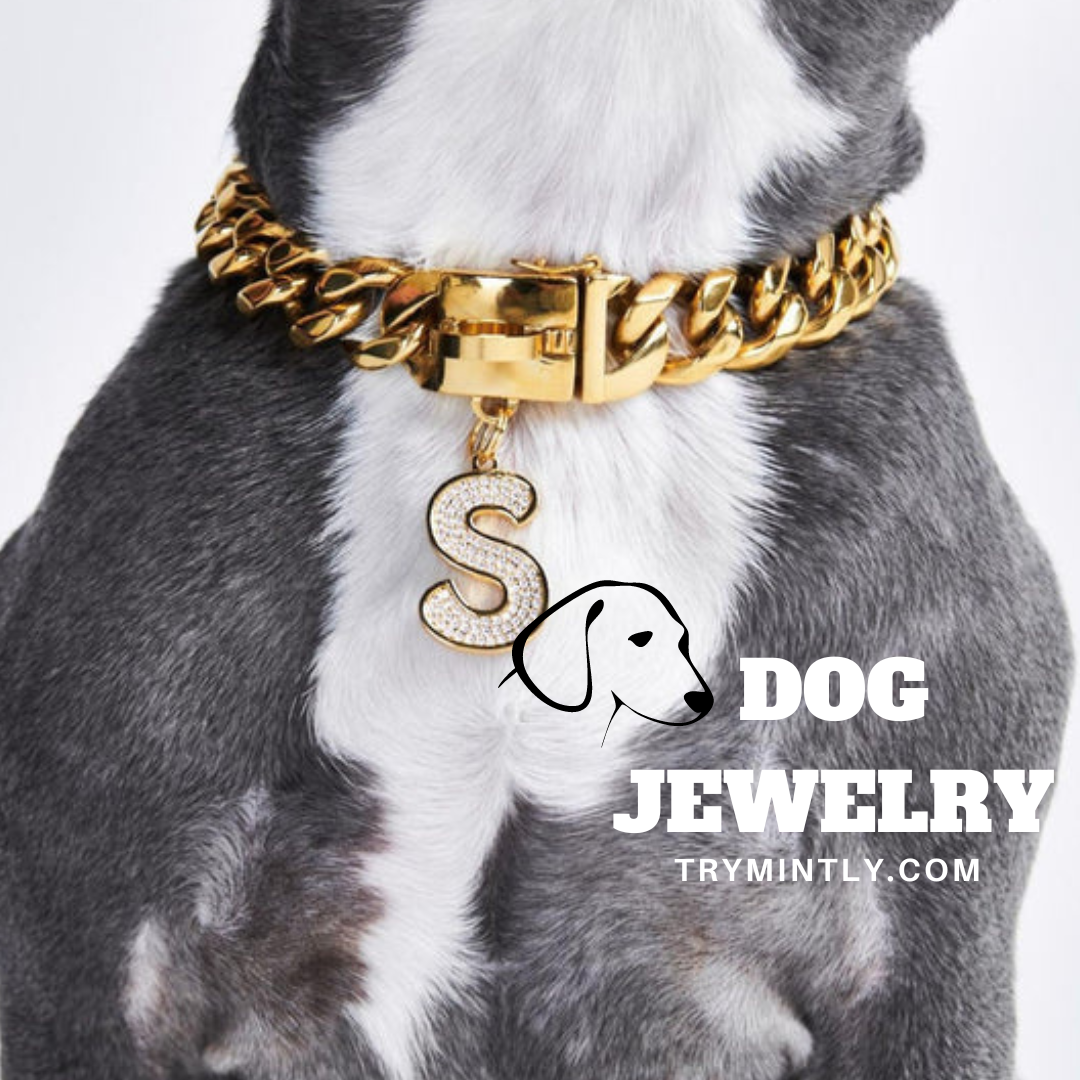 The Ultimate Guide to Jewelry for Dogs Mintly