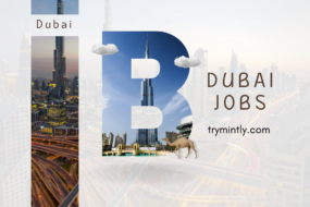 Dubai Jobs | Mintly
