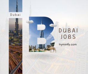 Dubai Jobs | Mintly