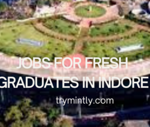 Jobs for Fresh Graduates in Indore | Mintly