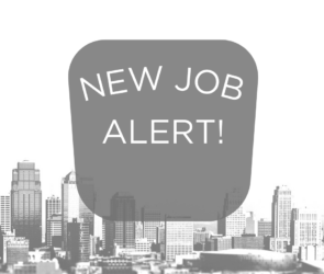 Free Job Alert |Mintly