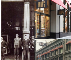Gump's Luxury Store | Mintly