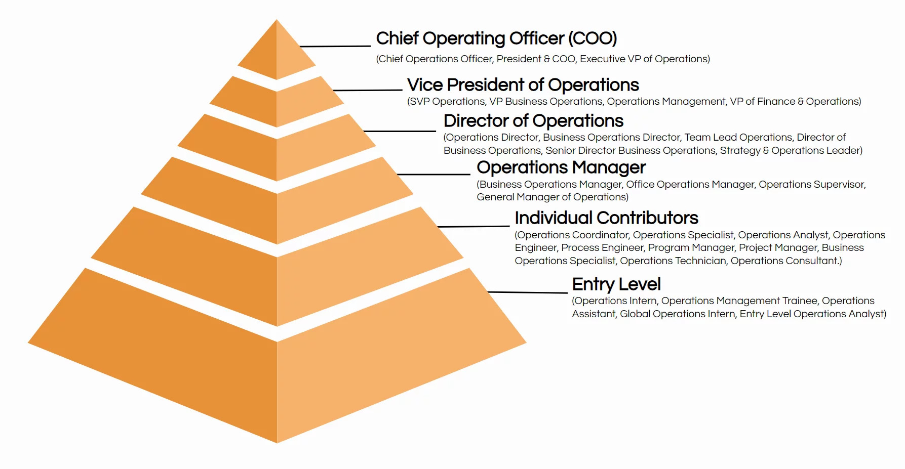 The Top 20 Management and Operations Job Titles [with Descriptions] | Ongig Blog