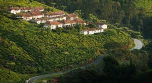 Gudalur | Jobs| Tea Estates