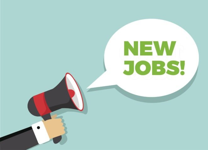 Actively looking for a job? Set up a free job alert and never miss a job again – Techtraffic