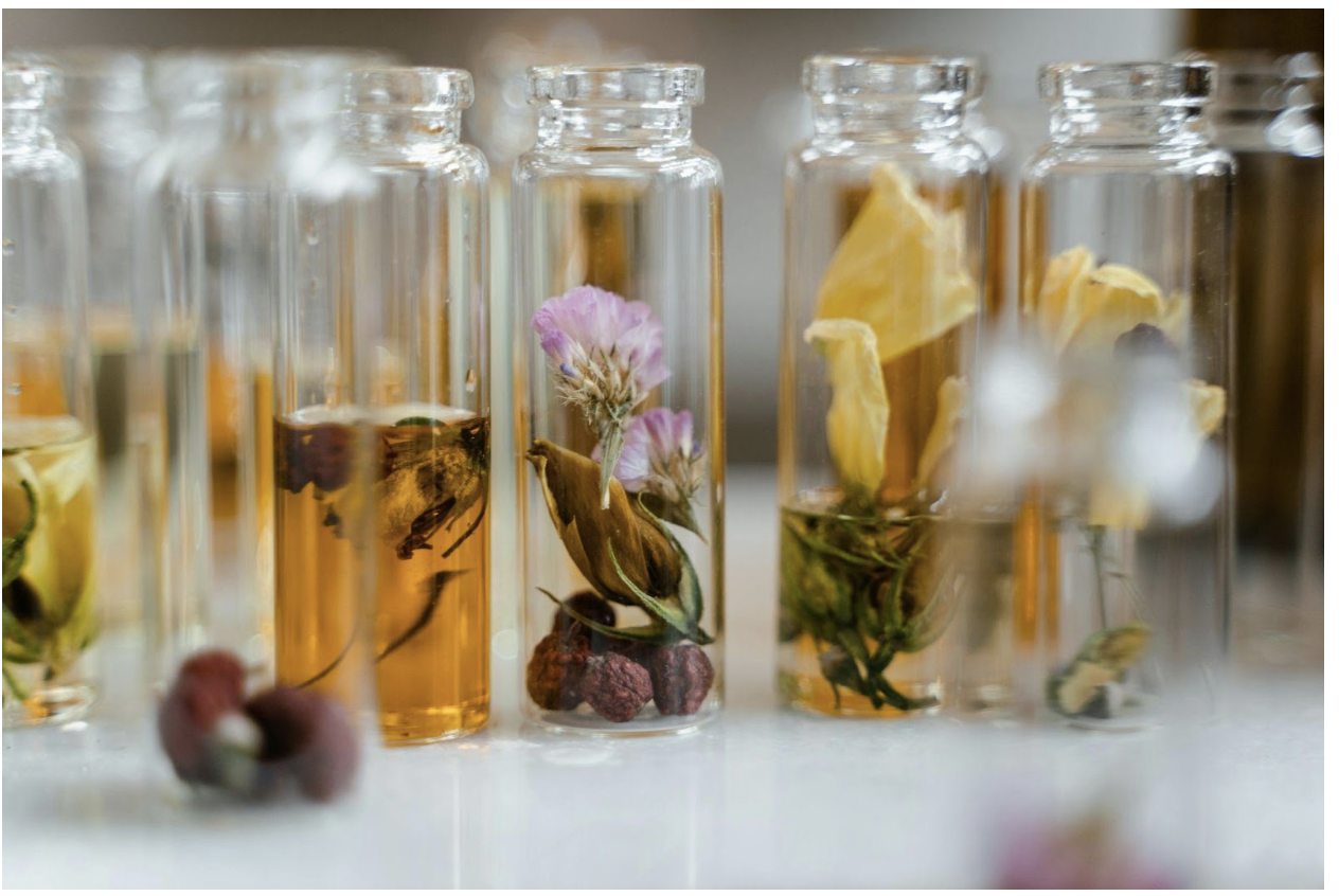 Photo by MART PRODUCTION: https://www.pexels.com/photo/clear-glass-bottles-with-liquid-and-dry-flowers-8450212/